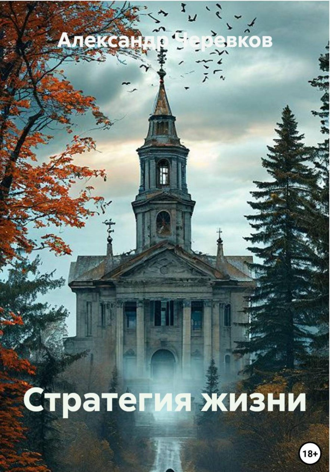 Обложка книги «Стратегия жизни»