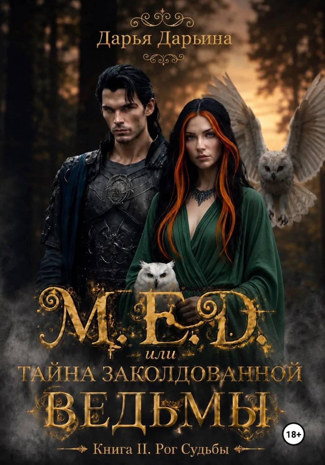 Обложка книги «МЁД, или Тайна заколдованной ведьмы»