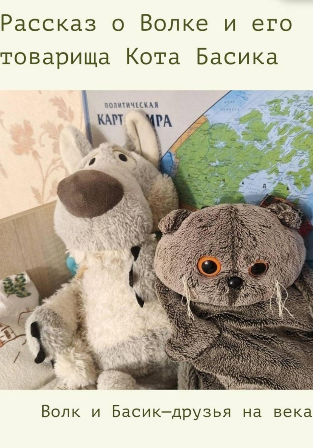 Обложка книги «Книга о Волке и его товарище коте Басике»