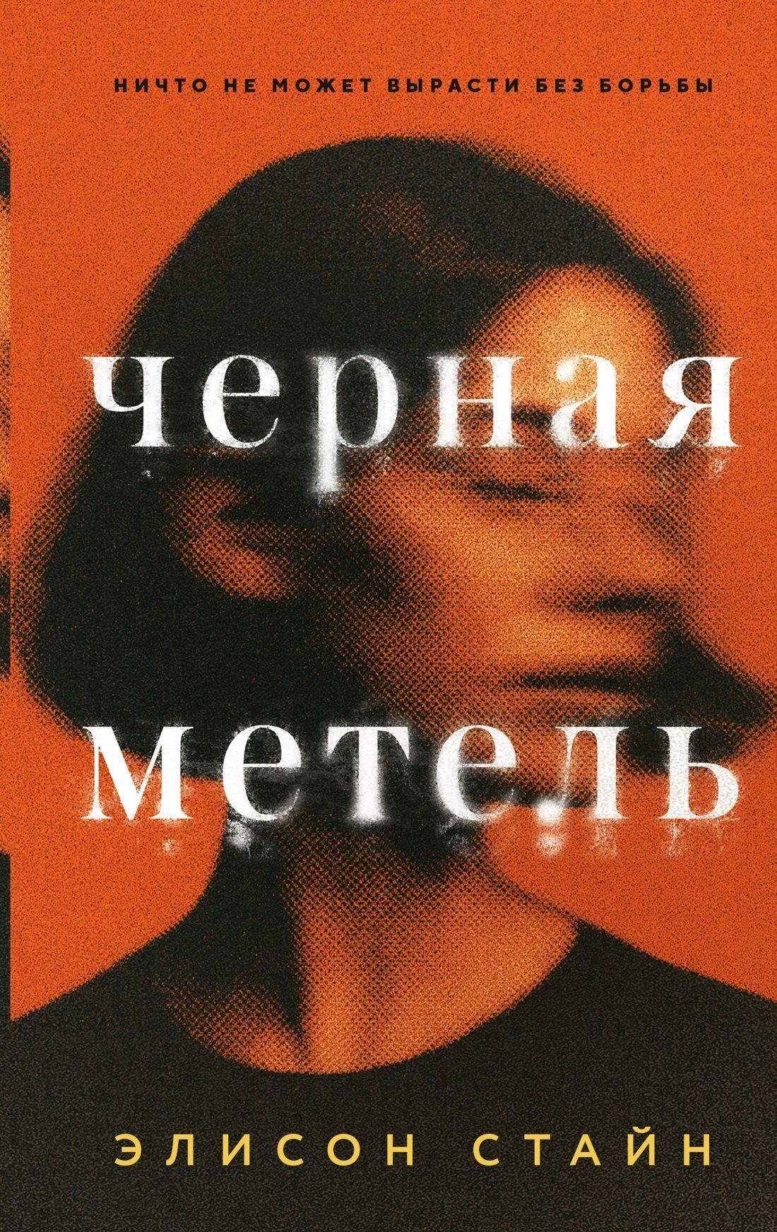 Обложка книги «Черная метель»