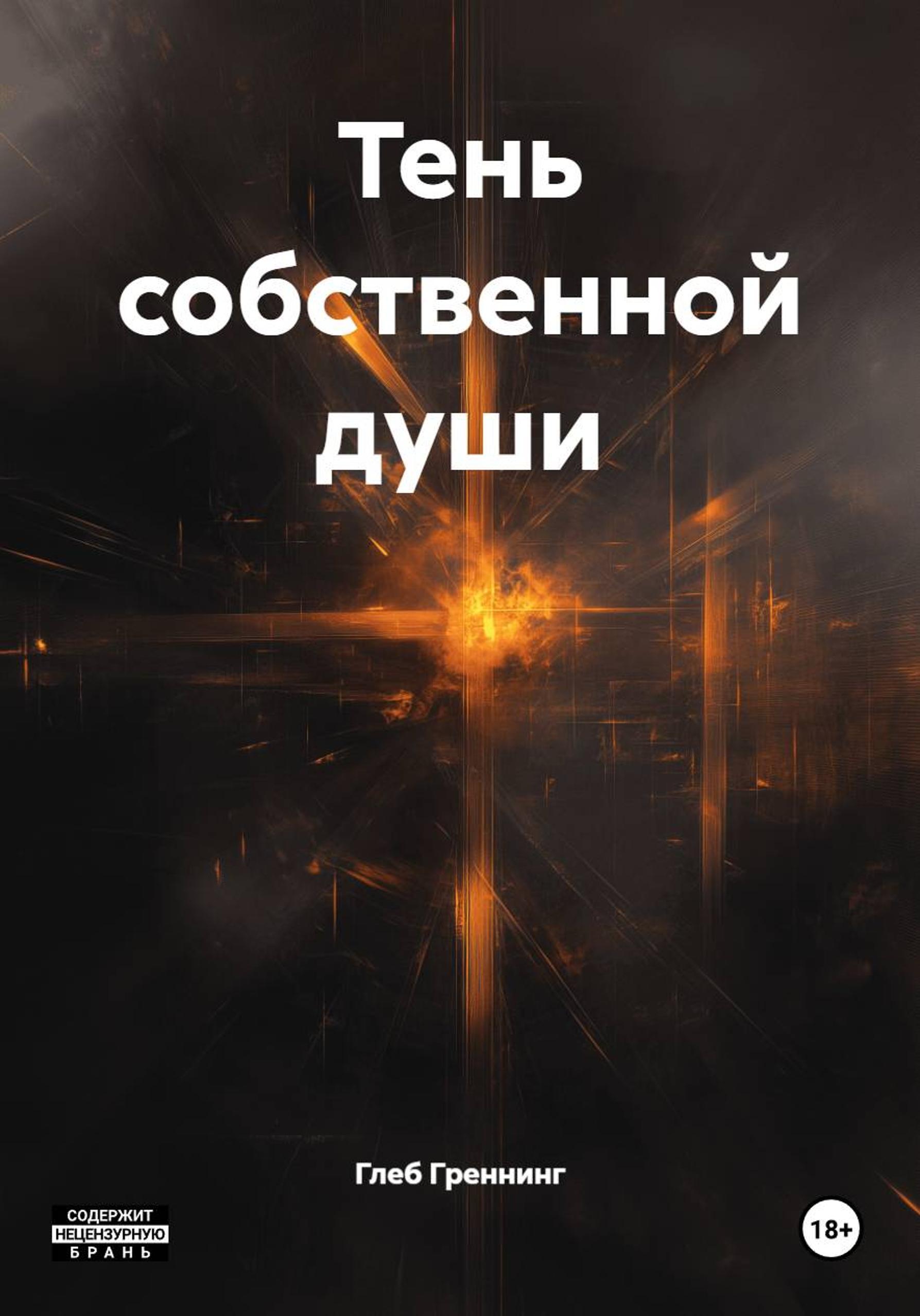 Обложка книги «Тень собственной души»
