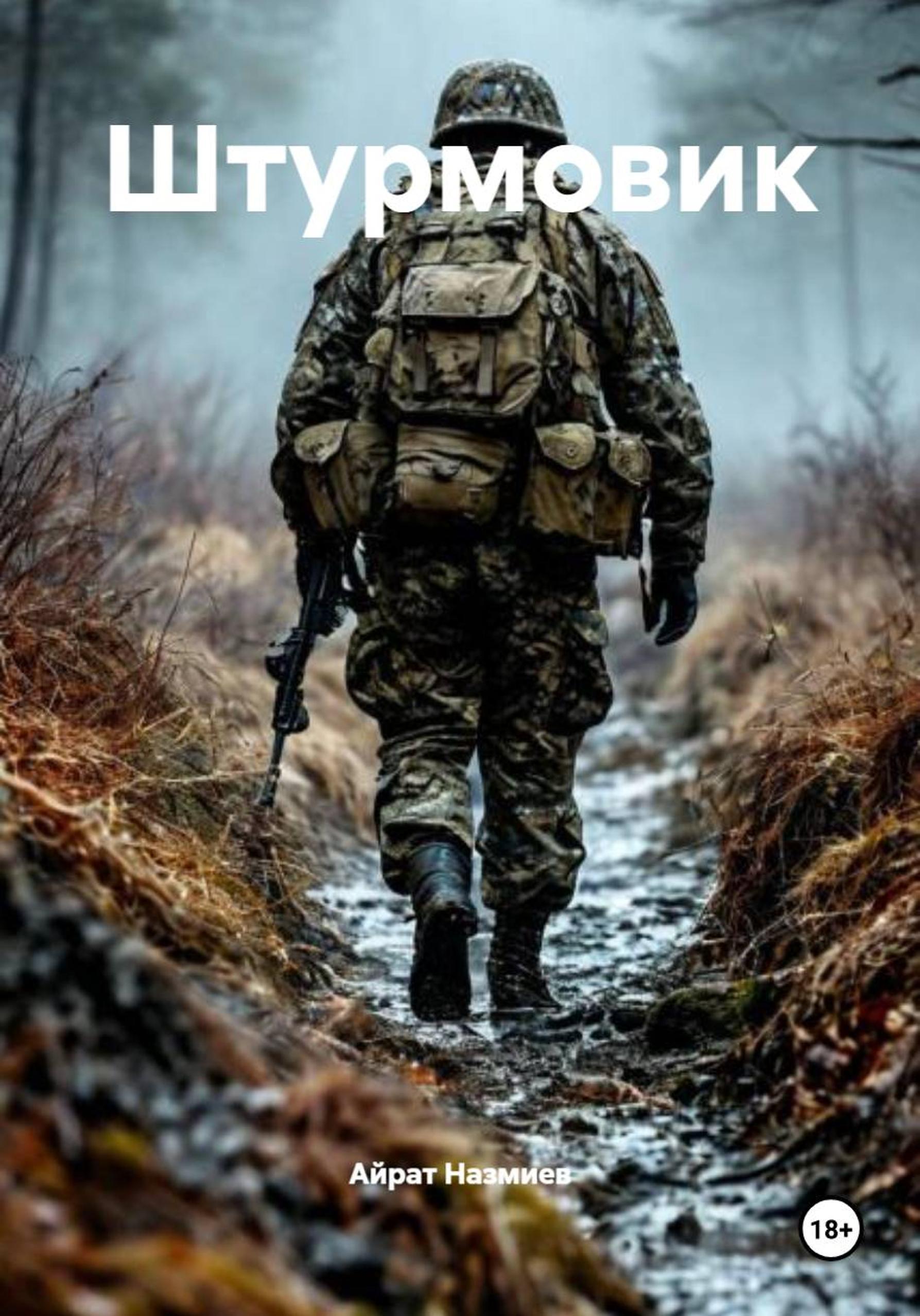 Обложка книги «Штурмовик»