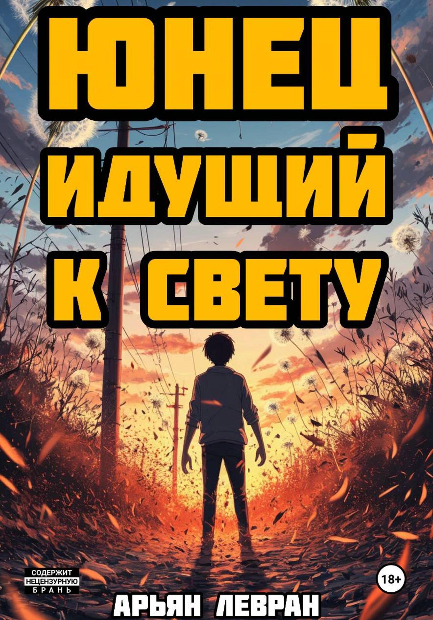 Обложка книги «Юнец идущий к свету»