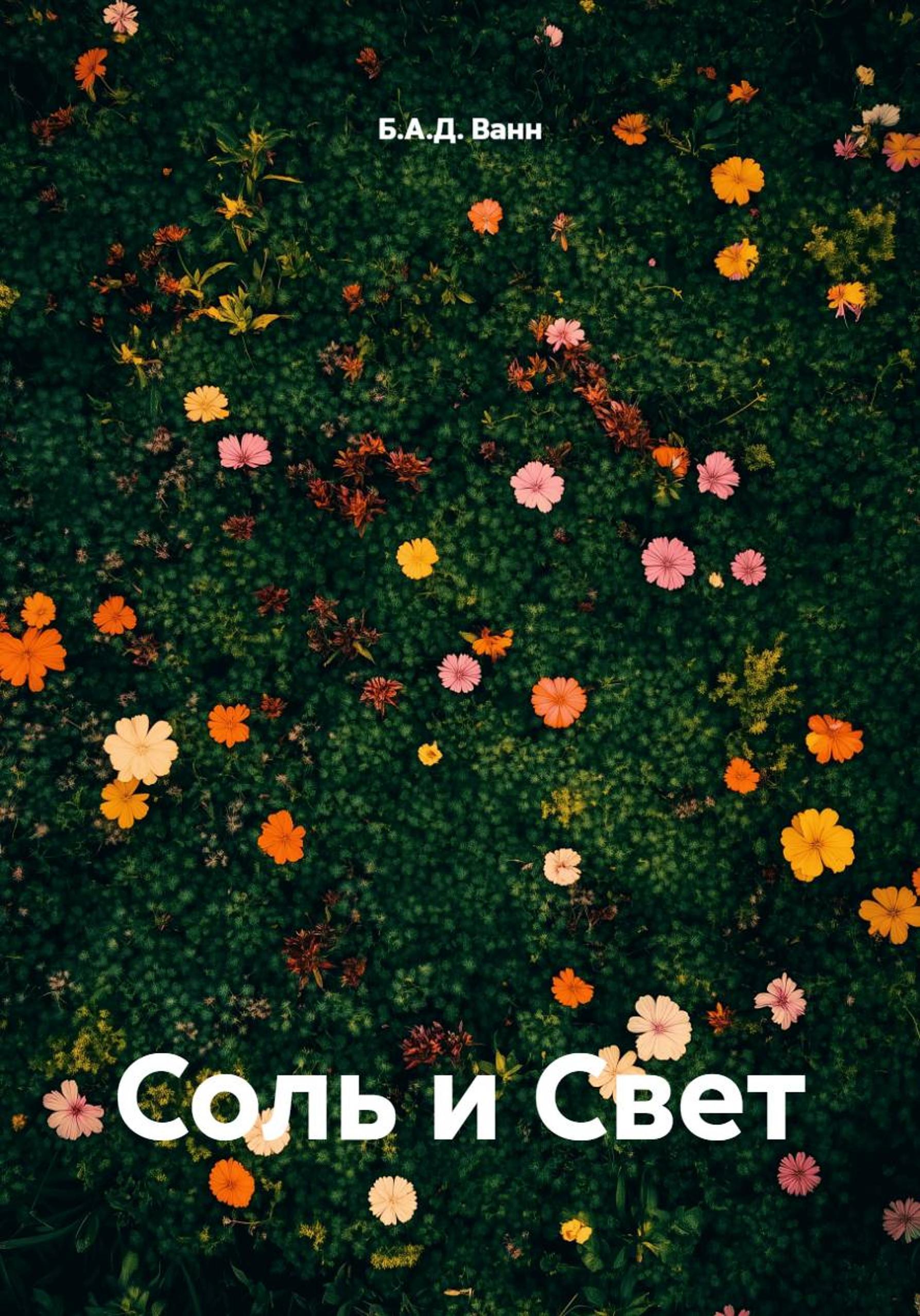 Обложка книги «Соль и Свет»