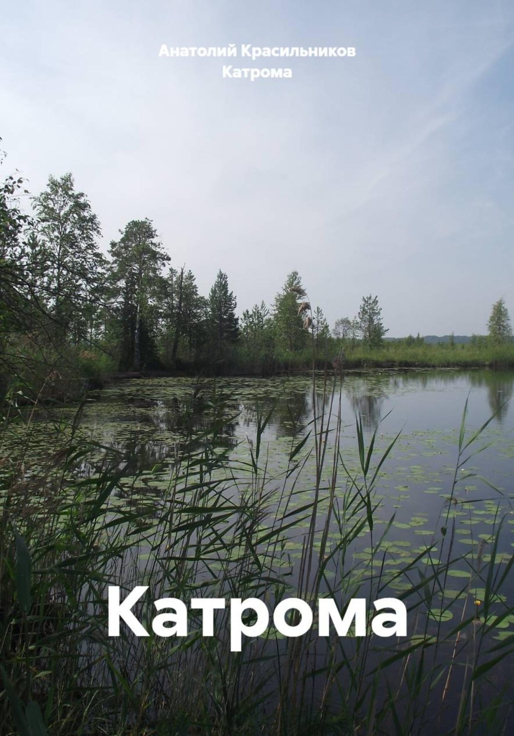 Обложка книги «Катрома»