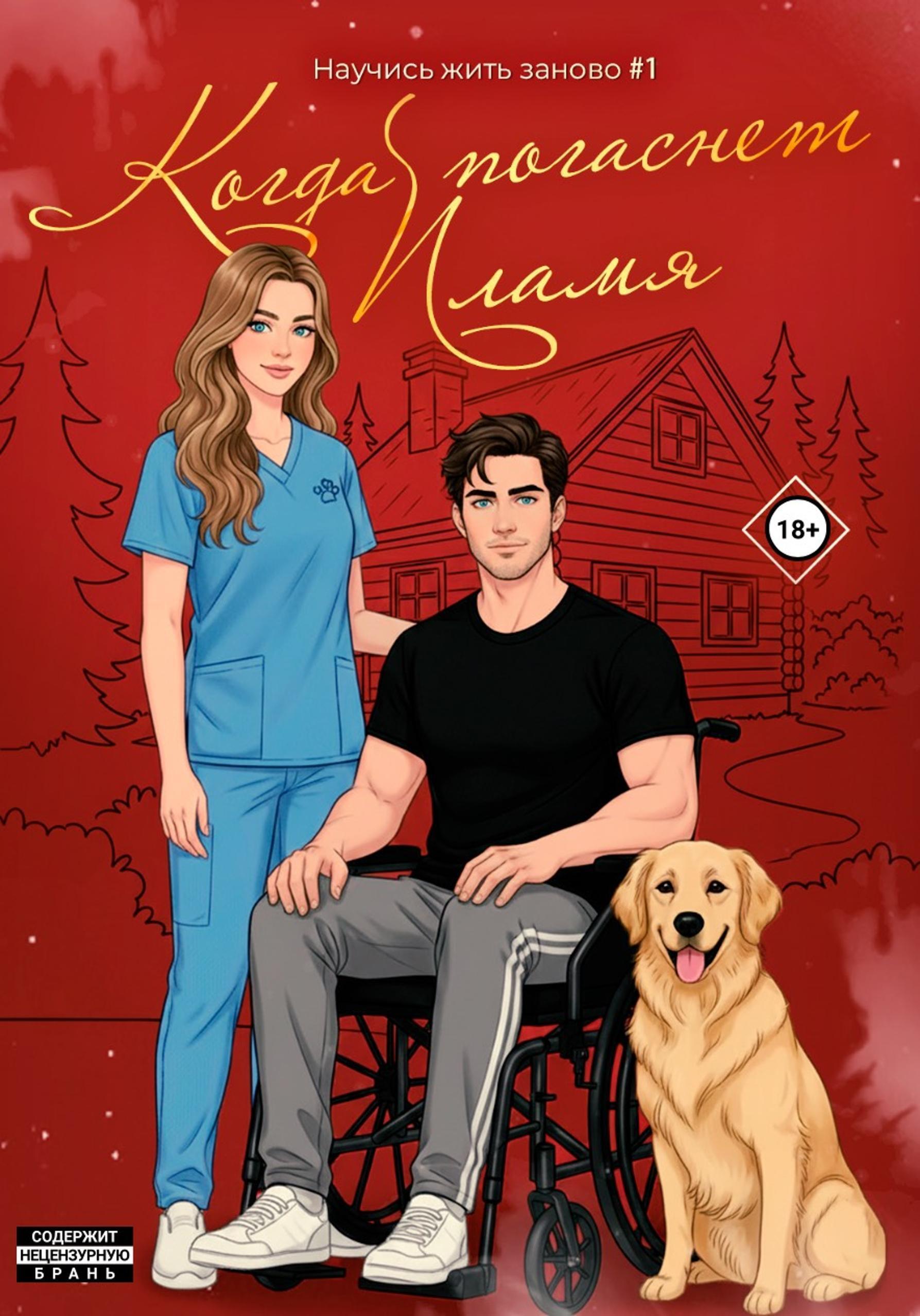 Обложка книги «Когда погаснет пламя»