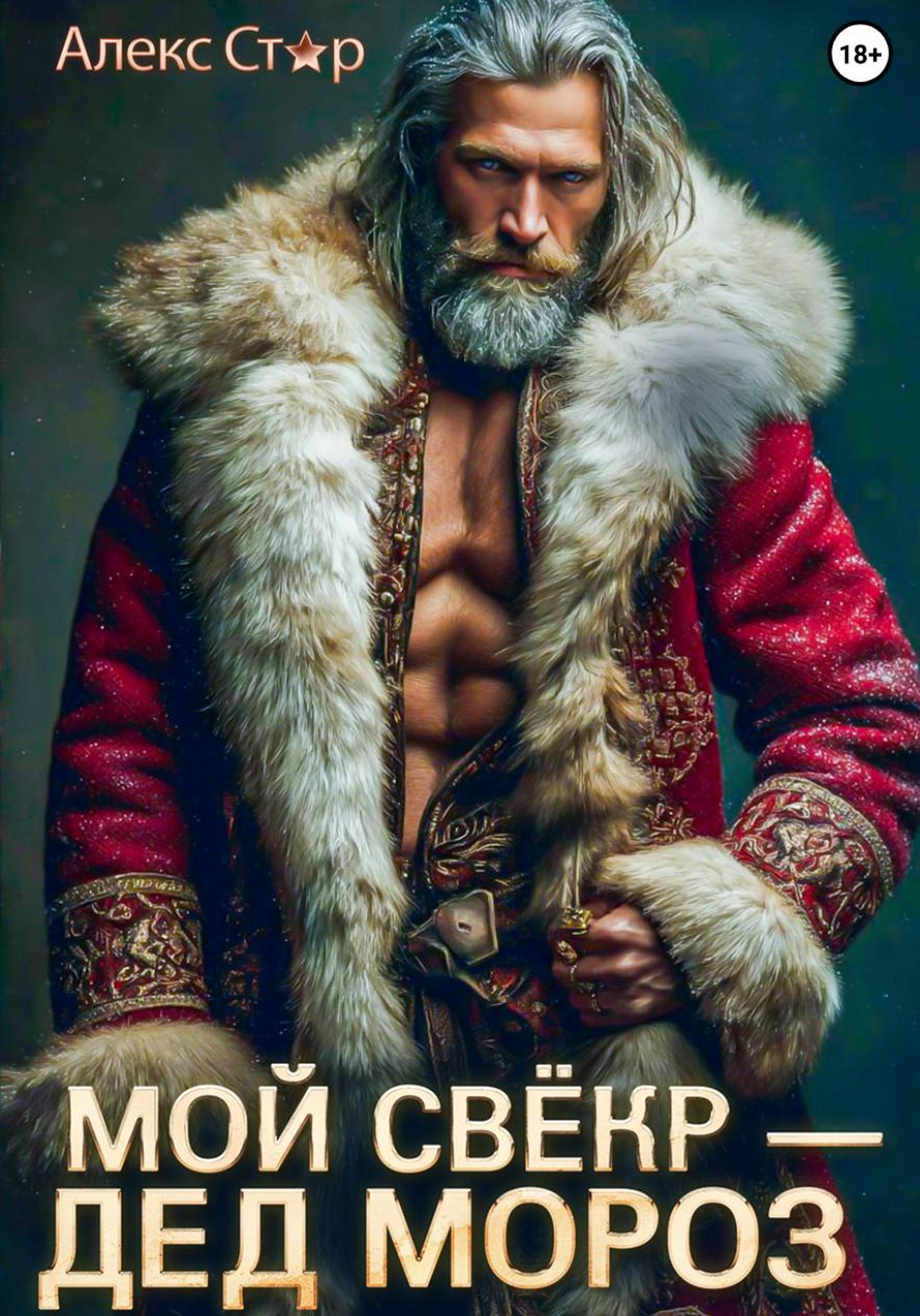 Обложка книги «Мой свёкр – Дед Мороз»