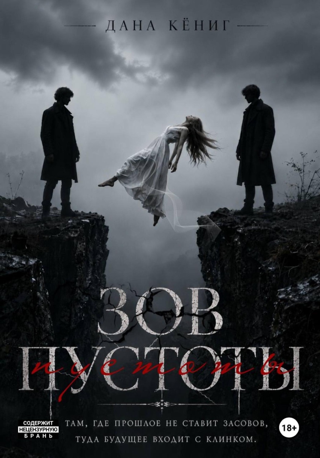 Обложка книги «Зов пустоты»