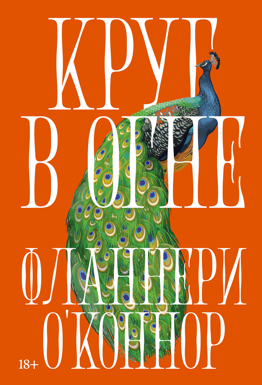 Обложка книги «Круг в огне: Рассказы»