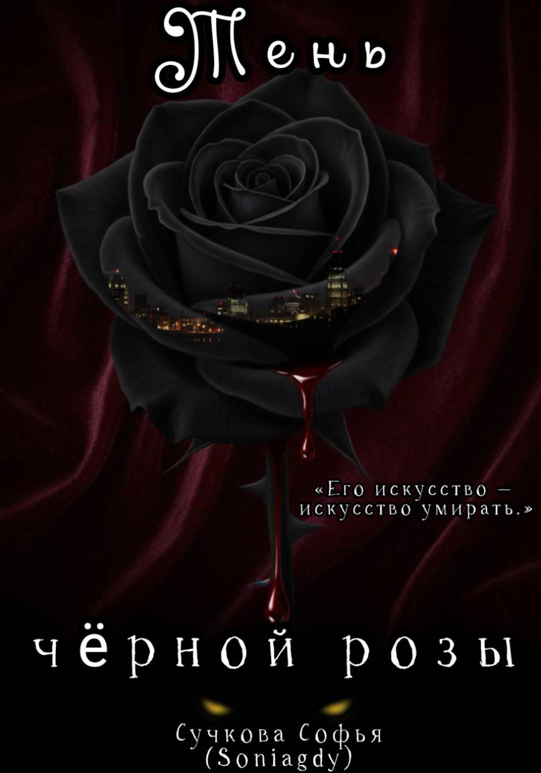 Обложка книги «Тень чёрной розы»