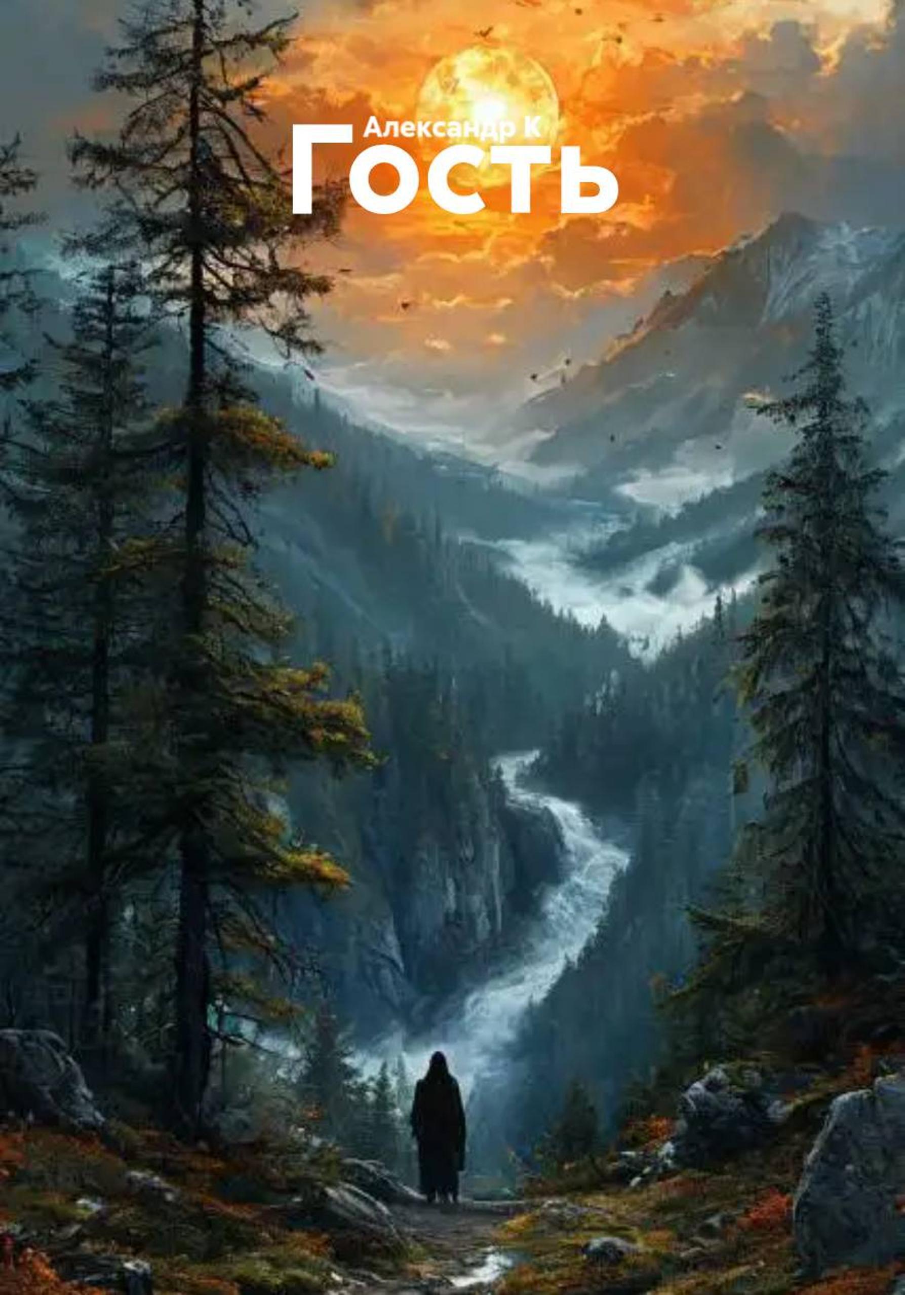Обложка книги «Гость»