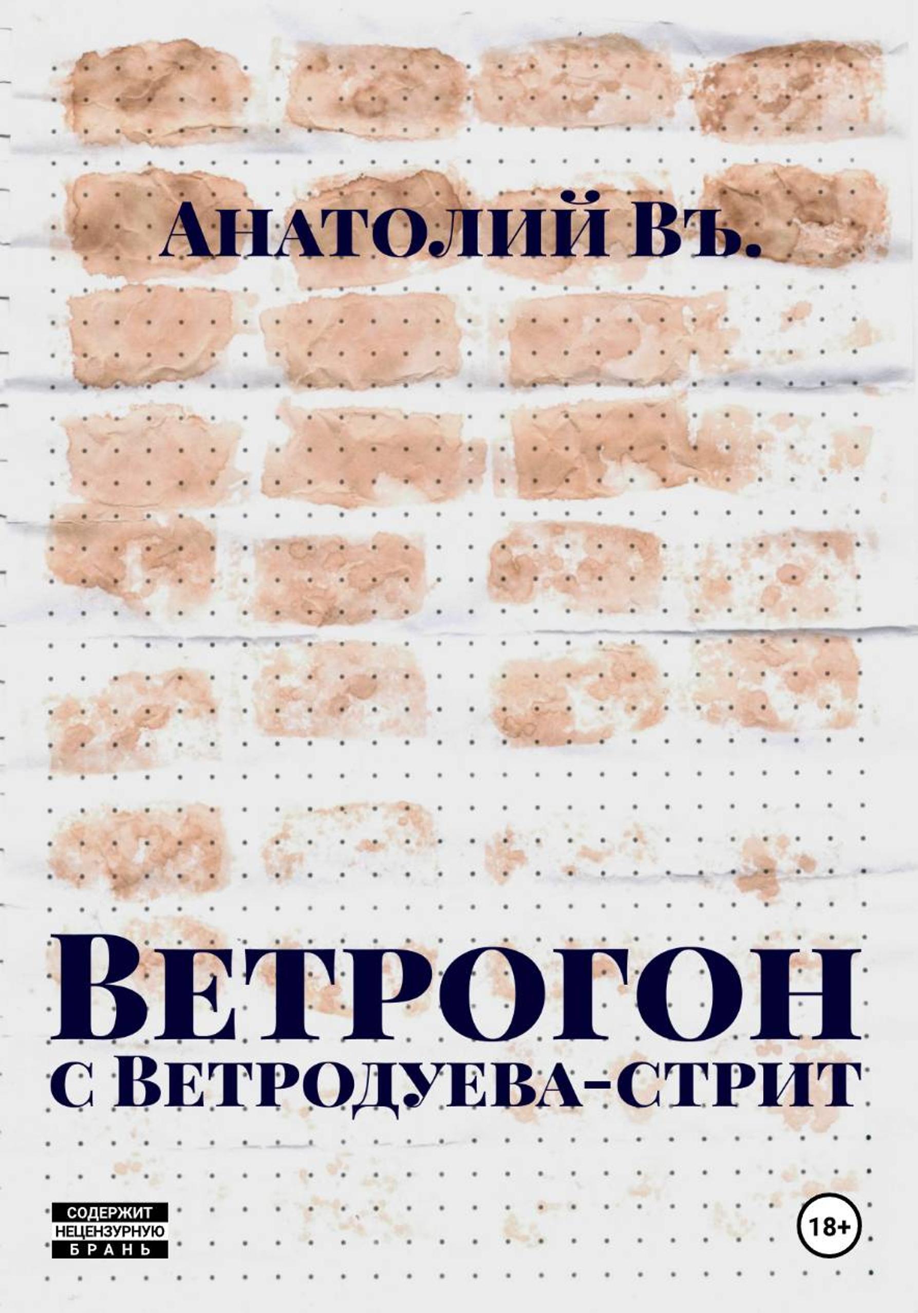 Обложка книги «Ветрогон с Ветродуева стрит»