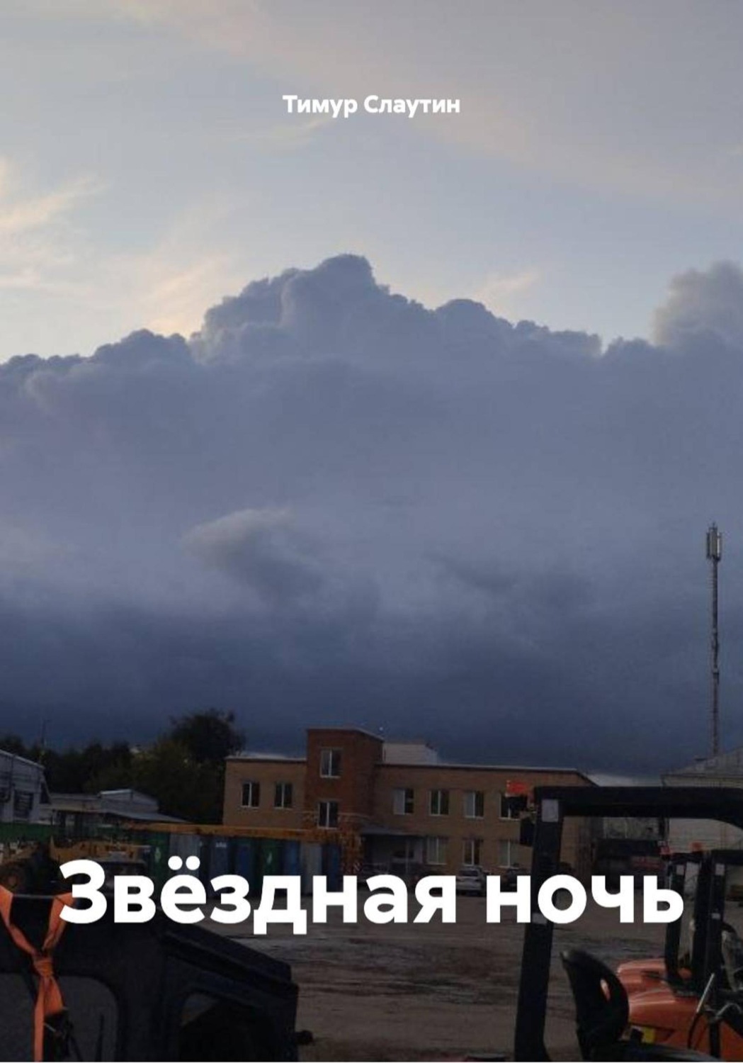 Обложка книги «Звëздная ночь»