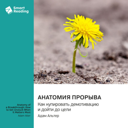 Обложка книги «Анатомия прорыва. Как купировать демотивацию и дойти до цели. Адам Альтер. Саммари»