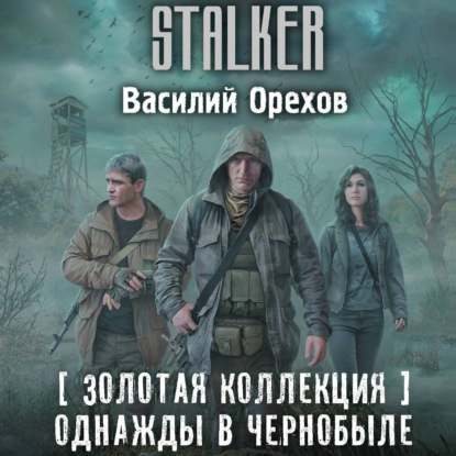 Обложка книги «Золотая коллекция. Однажды в Чернобыле»