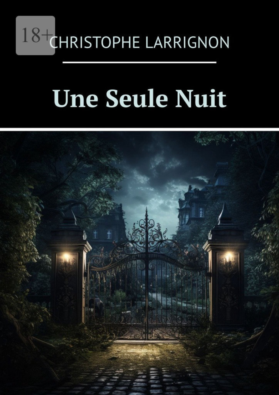 Обложка книги «Une Seule Nuit»