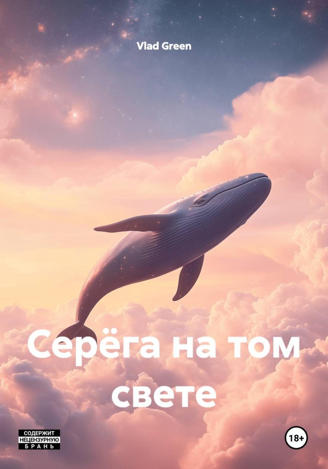 Обложка книги «Серёга на том свете»