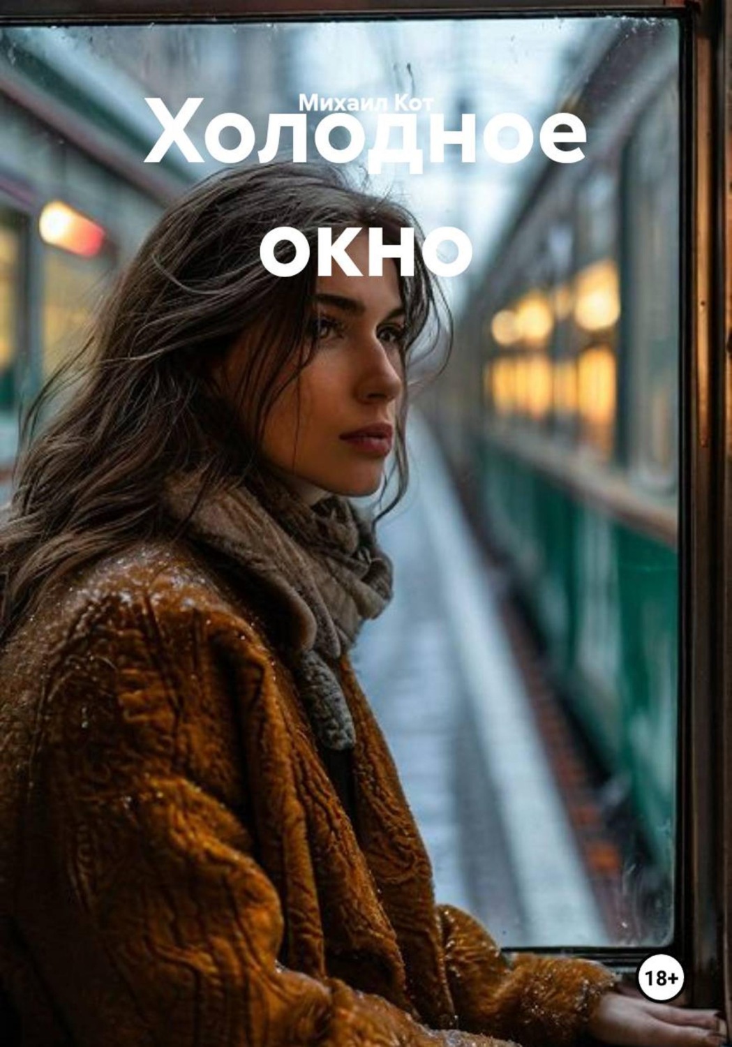 Обложка книги «Холодное окно»