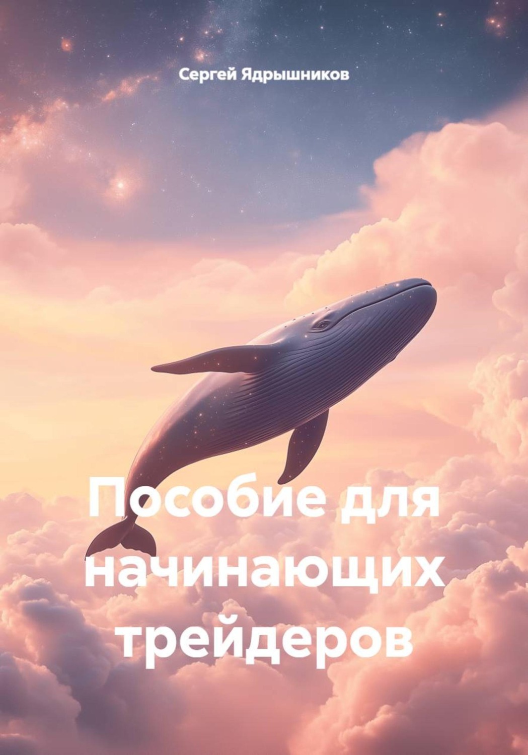 Обложка книги «Пособие для начинающих трейдеров»