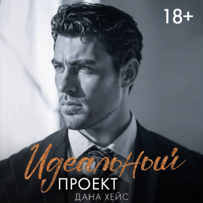 Обложка книги «Идеальный проект»