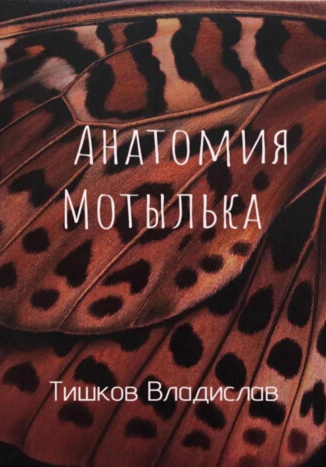 Обложка книги «Анатомия Мотылька»