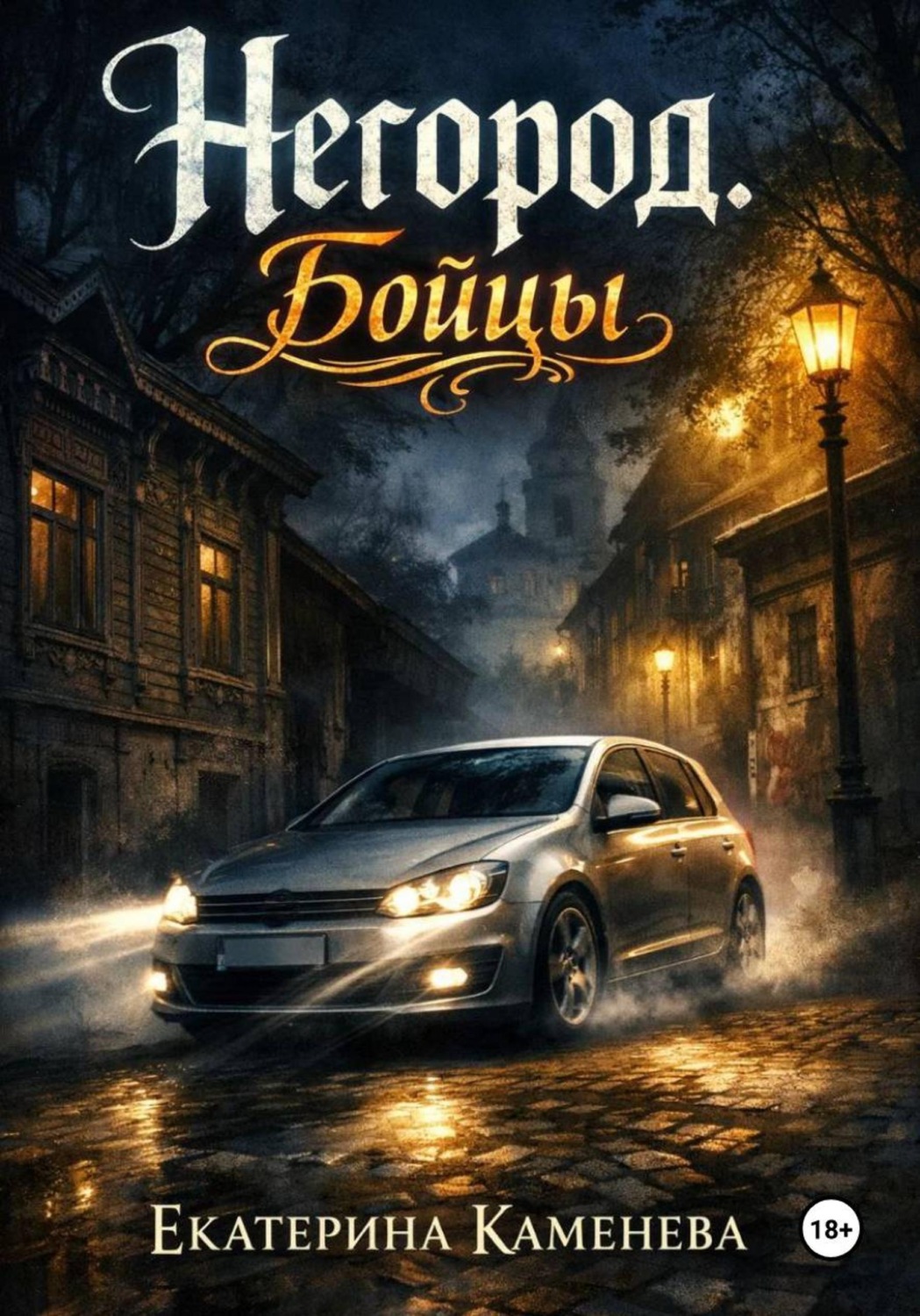 Обложка книги «Негород. Бойцы»