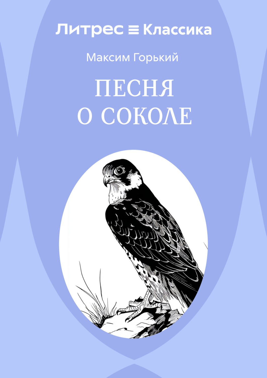 Обложка книги «Песня о Соколе»