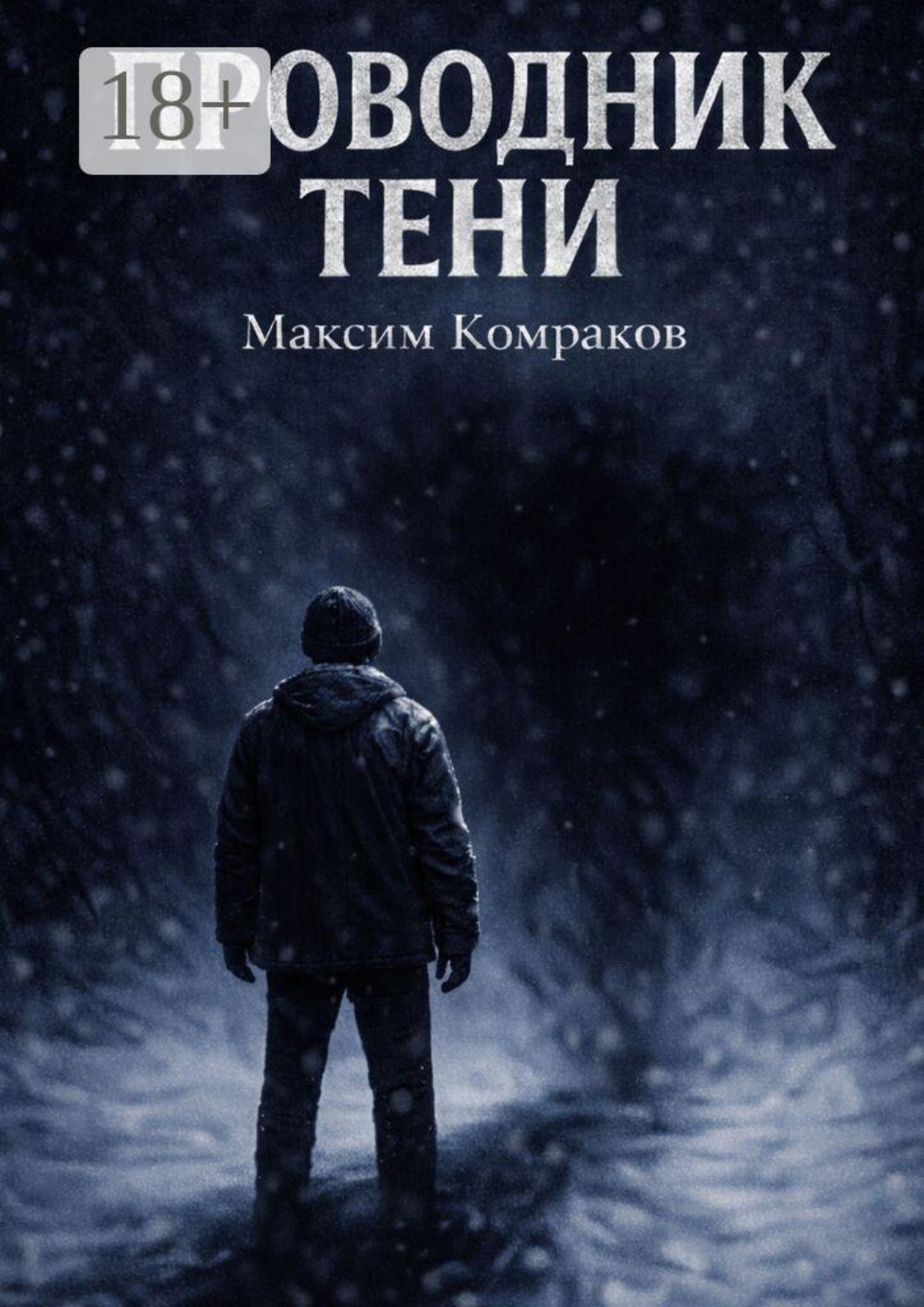 Обложка книги «Проводник тени»