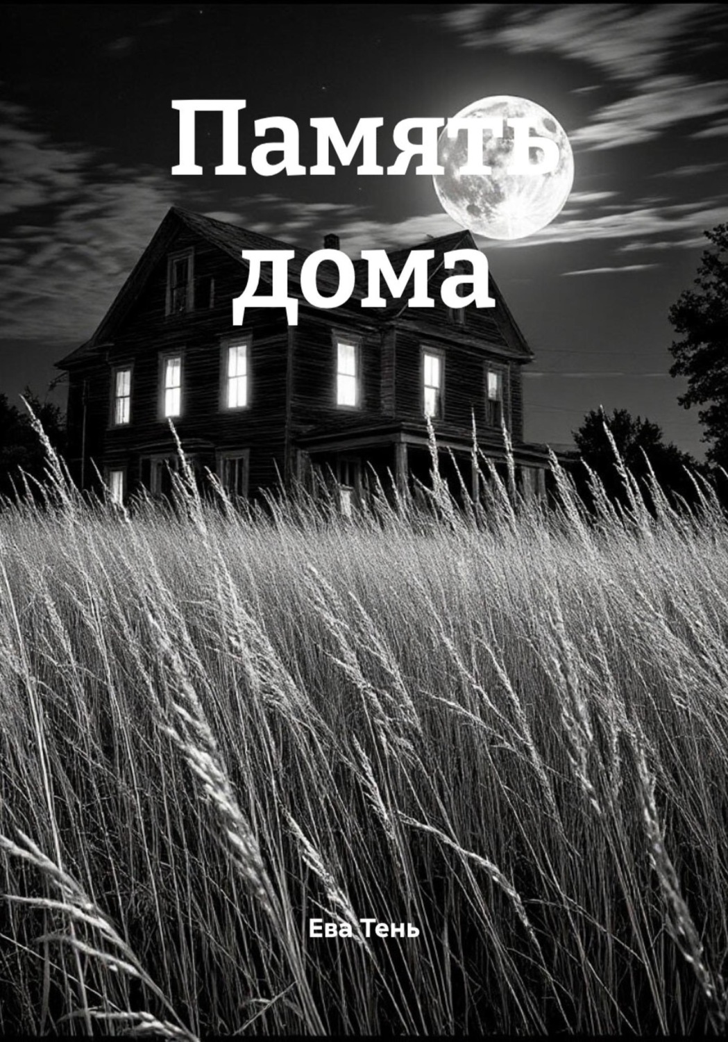 Обложка книги «Память дома»