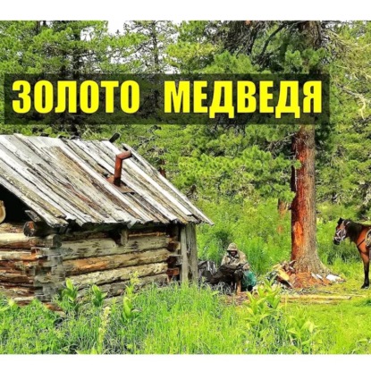 Обложка книги «Золото медведя ТАЙГА»