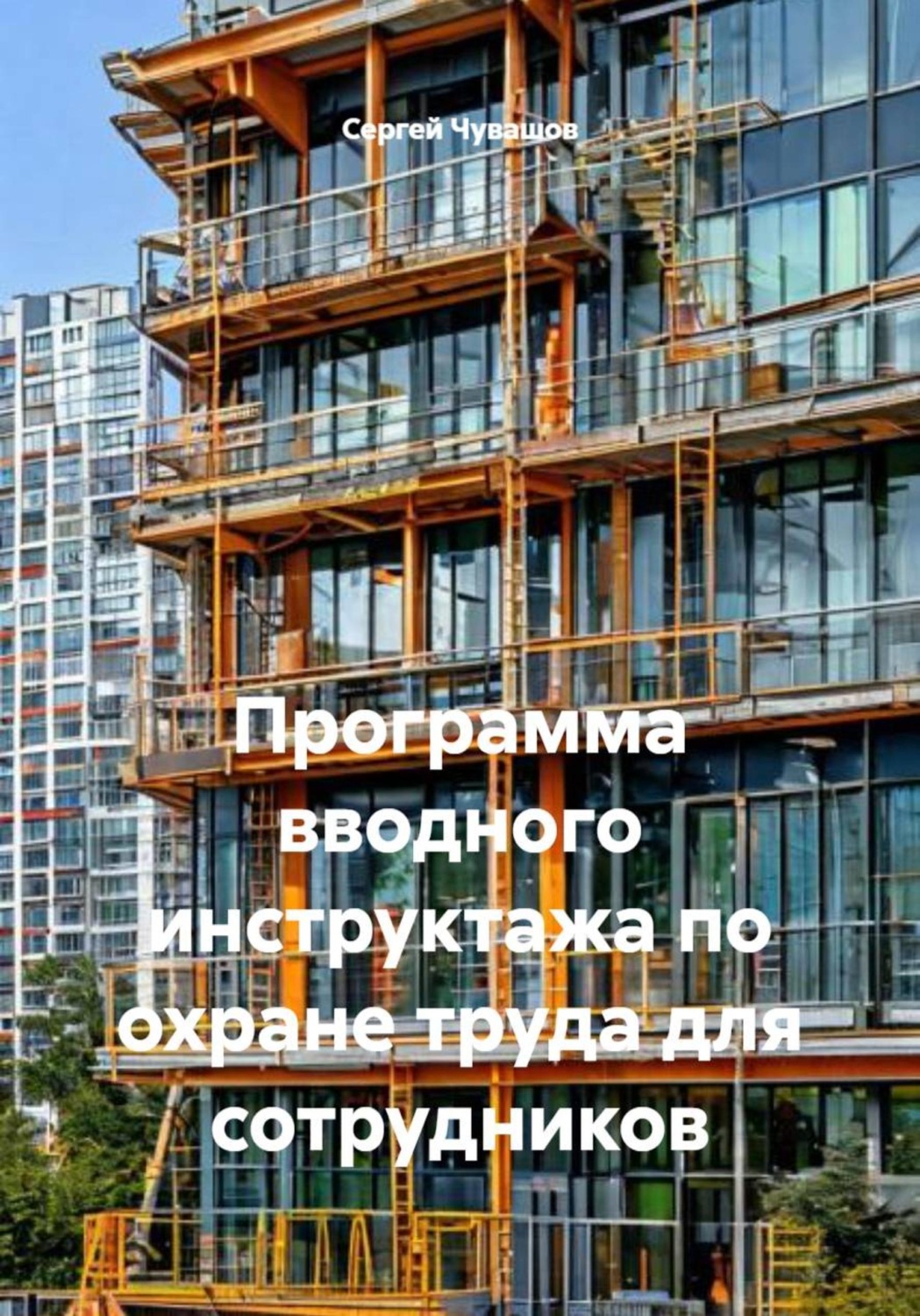 Обложка книги «Программа вводного инструктажа по охране труда для сотрудников»