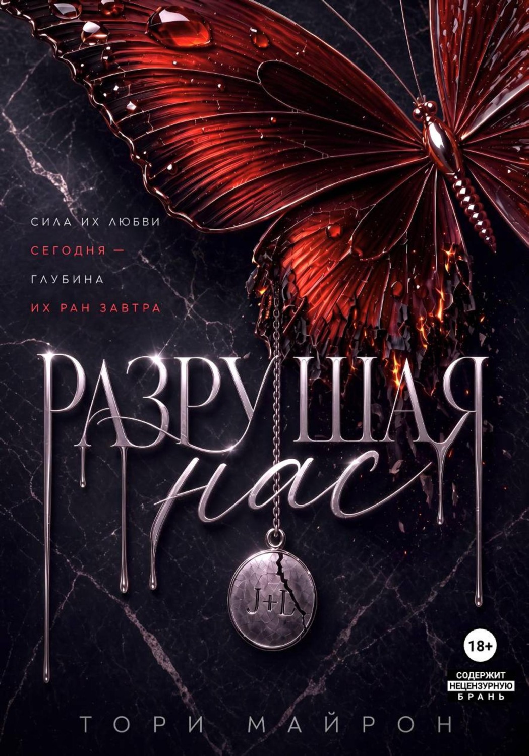 Обложка книги «Разрушая нас»