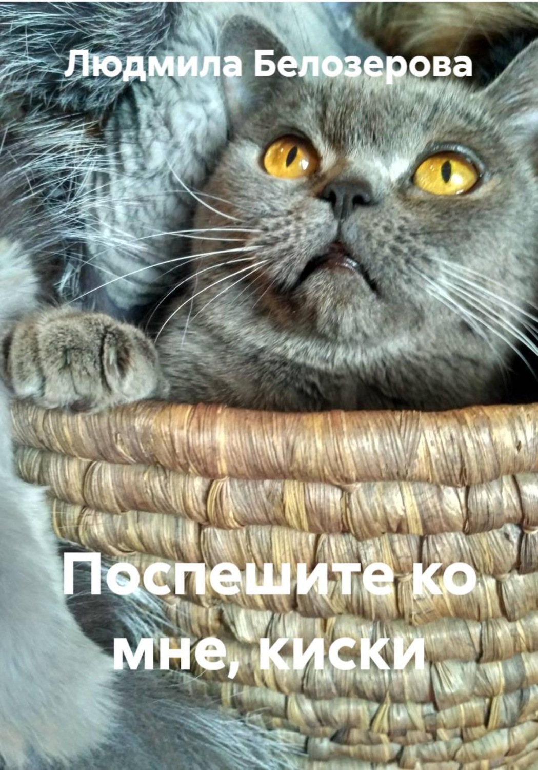 Обложка книги «Поспешите ко мне, киски»
