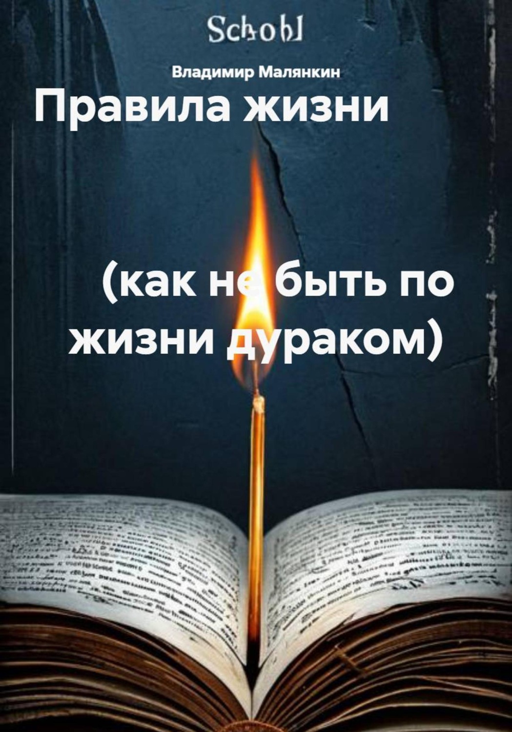 Обложка книги «Правила жизни (как не быть по жизни дураком)»