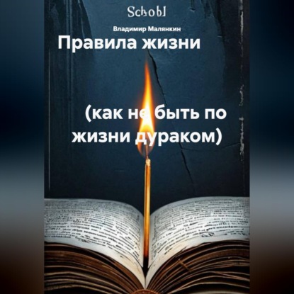 Обложка книги «Правила жизни (как не быть по жизни дураком)»