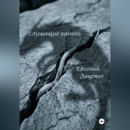 Обложка книги «Слышащие камень»