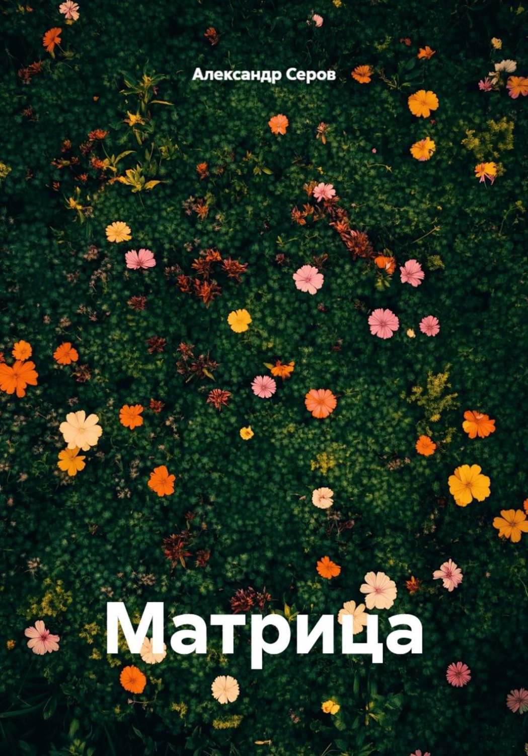 Обложка книги «Матрица»