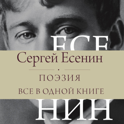 Обложка книги «Поэзия. Все в одной книге»