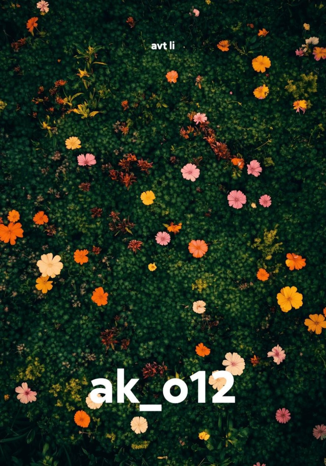 Обложка книги «ak_o12»