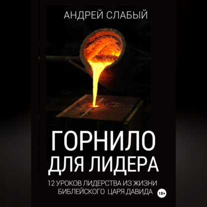 Обложка книги «Горнило для лидера. 12 уроков лидерства из жизни библейского царя Давида»