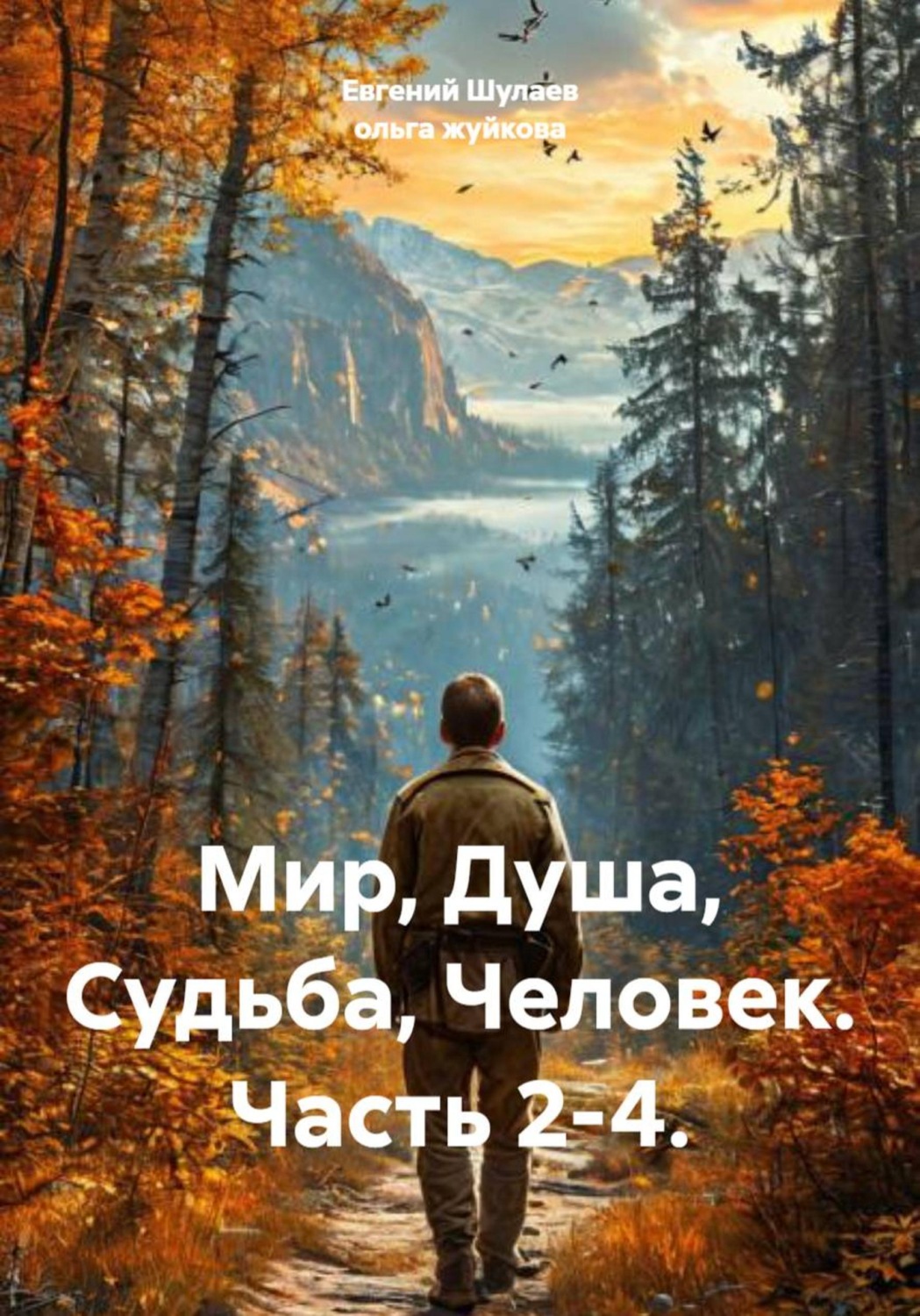 Обложка книги «Мир, Душа, Судьба, Человек. Книга 2, часть 2-4.»