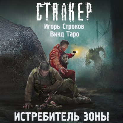 Обложка книги «Истребитель Зоны»