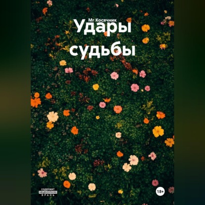 Обложка книги «Удары судьбы»