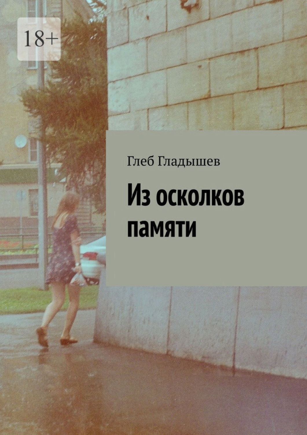 Обложка книги «Из осколков памяти»