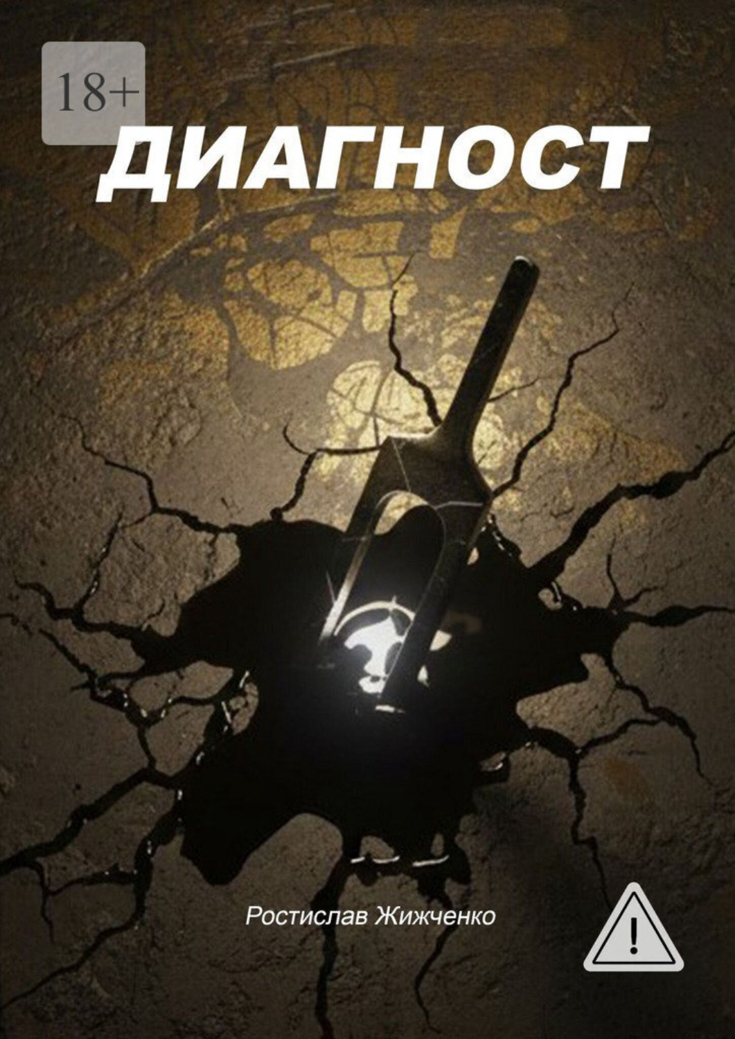 Обложка книги «Диагност»