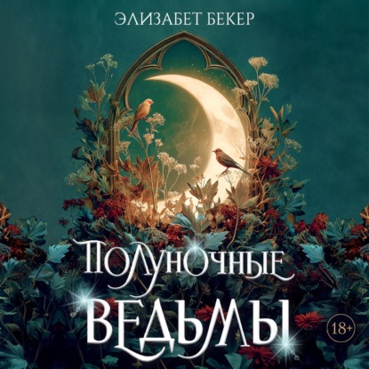 Обложка книги «Полуночные ведьмы»