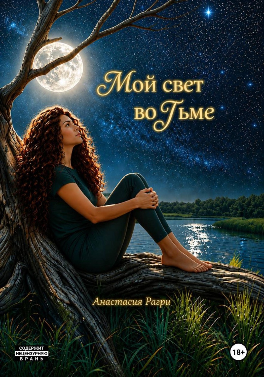 Обложка книги «Мой свет во тьме»