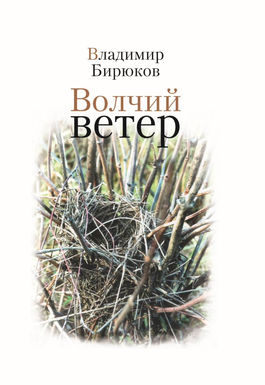 Обложка книги «Волчий ветер»