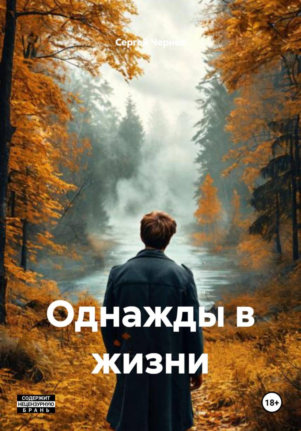 Обложка книги «Однажды в жизни»