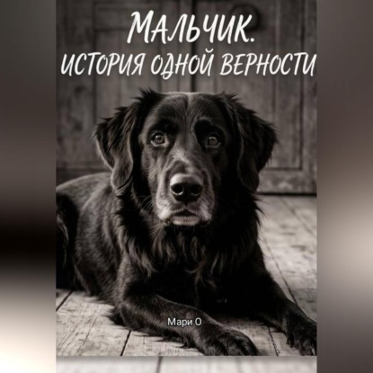 Обложка книги «Мальчик. История одной верности»